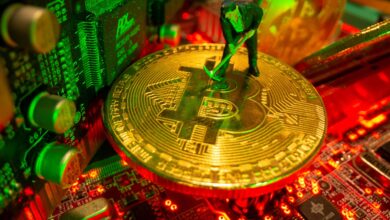 Cryptocurrency Mining: An Overview of the Process and Profitability 12 Cryptocurrency Mining