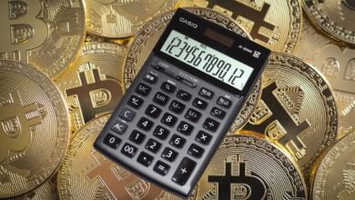 The Impact of Investor Sentiment on Bitcoin Returns 7 Bitcoin Returns