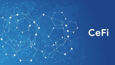 The Emergence of Centralized Finance (CeFi) in the Crypto Market 14 Centralized Finance