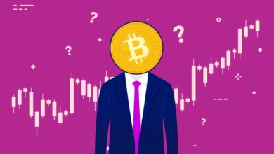 Bitcoin as an Investment: Opportunities and Risks 4 Bitcoin as an Investment