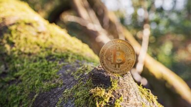 The Environmental Impact of Cryptocurrency Mining: Challenges and Solution 27 Environmental Impact