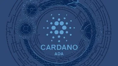 img 1763675253